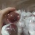 包油羊腰，百分百原油羊腰，单冻包装