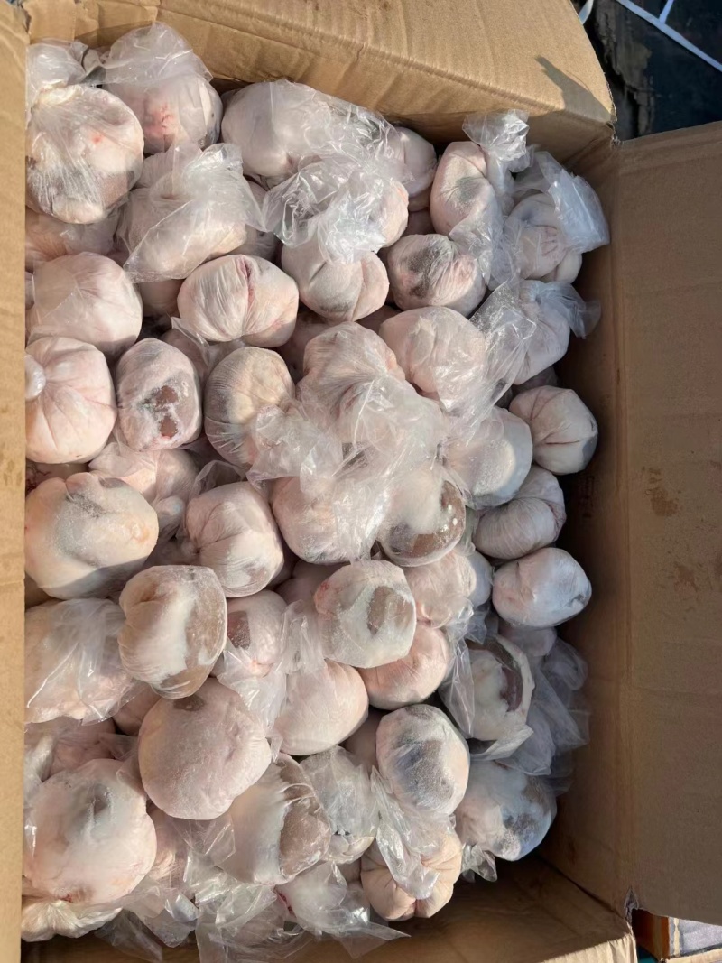 包油羊腰，百分百原油羊腰，单冻包装