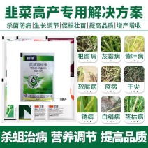 韭菜用增产套餐韭蛆灰霉病疫病绵疫锈病黄叶干尖营养增粗叶