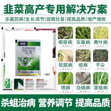 韭菜用增产套餐韭蛆灰霉病疫病绵疫锈病黄叶干尖营养增粗叶