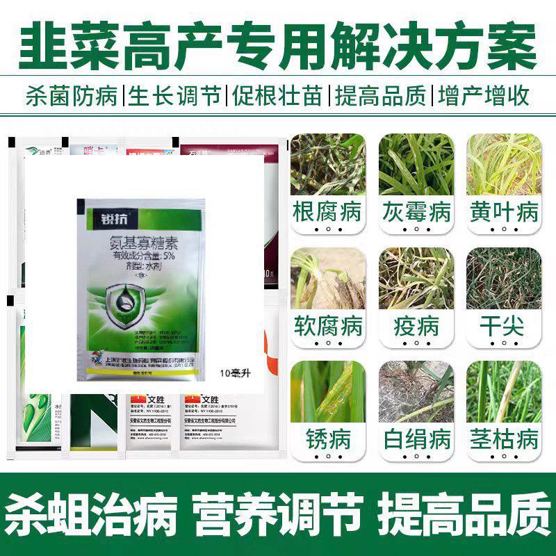 韭菜用增产套餐韭蛆灰霉病疫病绵疫锈病黄叶干尖营养增粗叶