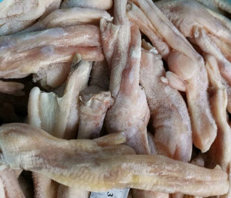 大鸭爪一斤7～8个一手货源质量保证有丰富的供应电商经验
