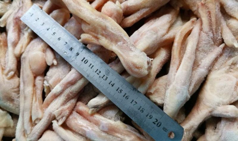 大鸭爪一斤7～8个一手货源质量保证有丰富的供应电商经验