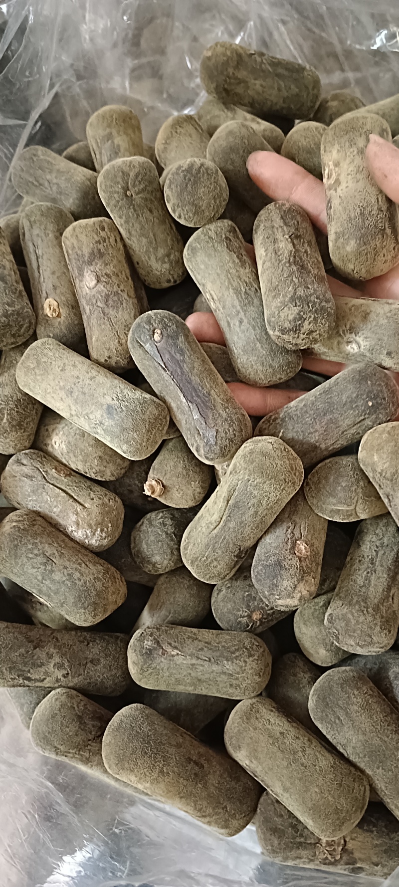化橘红，广东化橘红，源头好货
