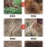 微生物菌剂枯草芽孢杆菌哈茨木霉菌液体肥生根防早衰烂根重茬
