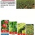 微生物菌剂枯草芽孢杆菌哈茨木霉菌液体肥生根防早衰烂根重茬