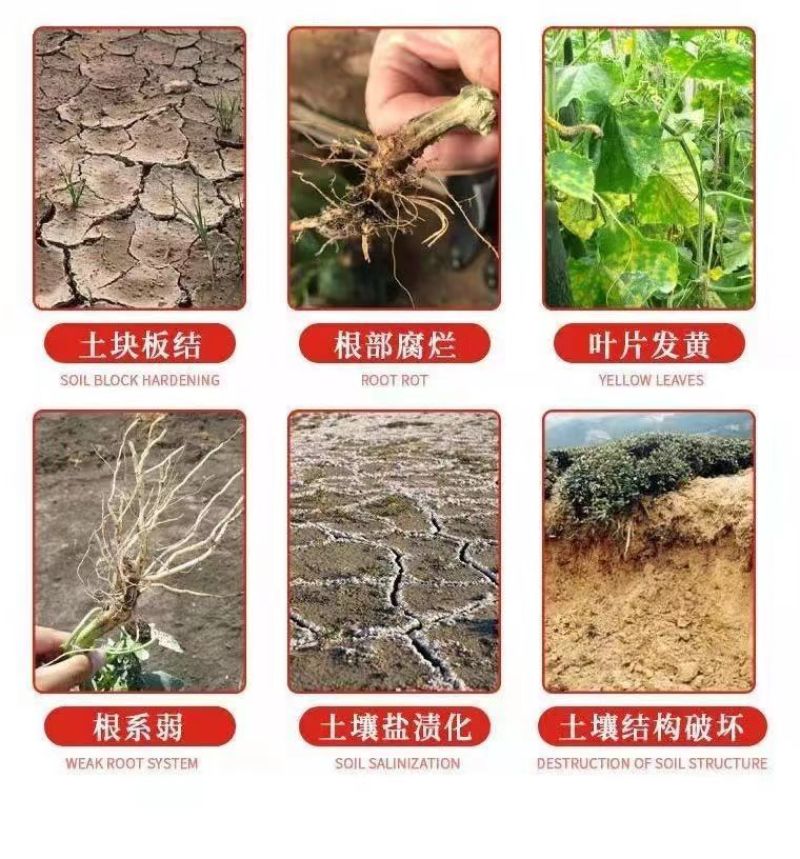 微生物菌剂枯草芽孢杆菌哈茨木霉菌液体肥生根防早衰烂根重茬
