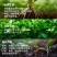 微生物菌剂枯草芽孢杆菌哈茨木霉菌液体肥生根防早衰烂根重茬
