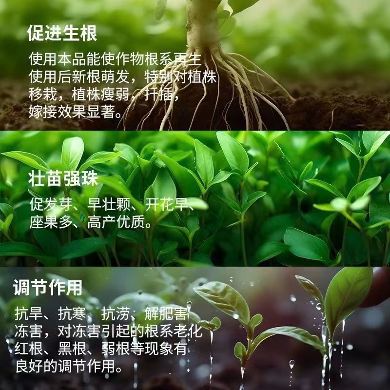 微生物菌剂枯草芽孢杆菌哈茨木霉菌液体肥生根防早衰烂根重茬
