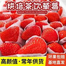 【蒙特瑞草莓】夏草莓商用规格齐全按需包装基地现摘现发
