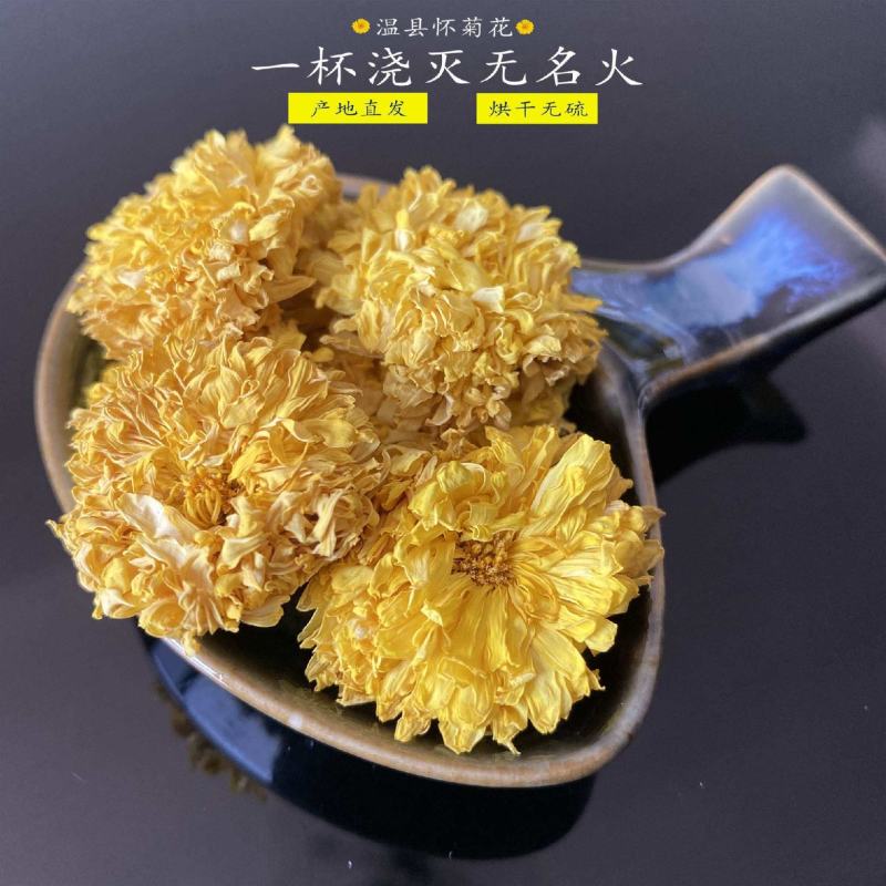 【温县发货】道地药材怀菊花冰菊无硫怀菊花菊花茶包邮