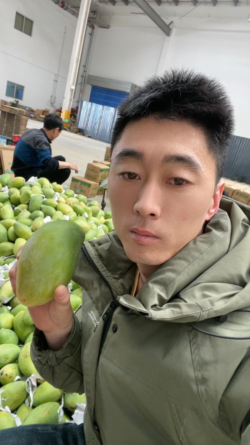 百色精品大青芒，一手货源，品质保证，一件代发，量大从优