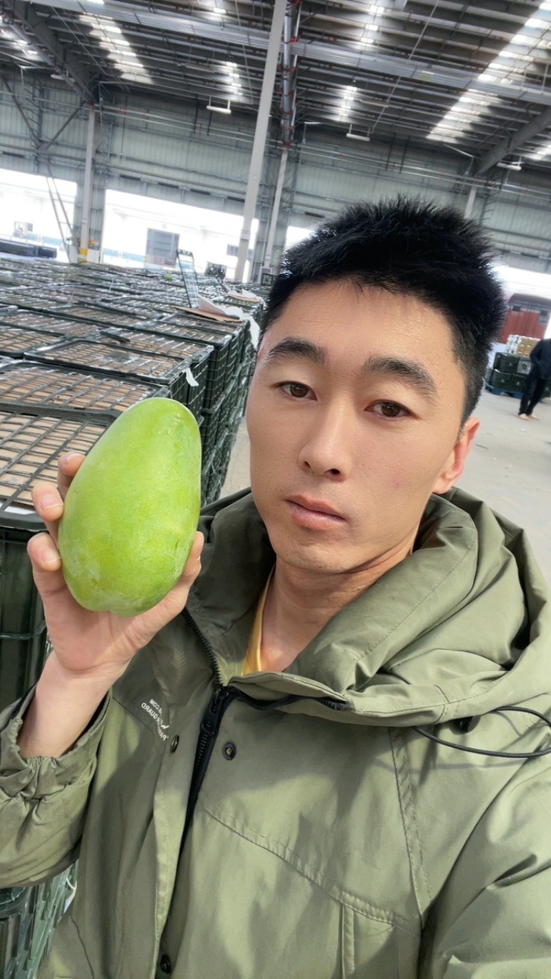 百色精品大青芒，一手货源，品质保证，一件代发，量大从优