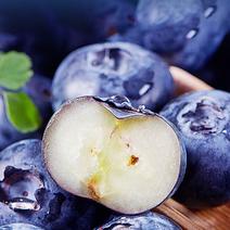 云南高山蓝莓，新鲜果子，可，团购，价格