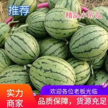 早春红玉西瓜2K大量上市欢迎各位老板前来采购免费接送