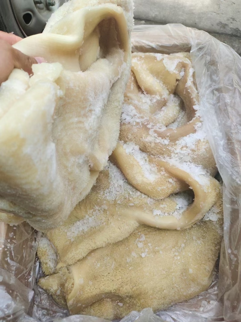 熟牛肚一件30斤纯干大牛肚适合涮炒调欢迎各位老板