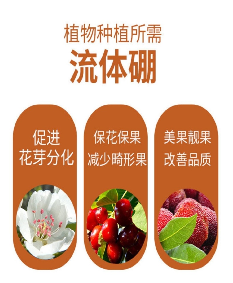 流体硼硼肥叶面肥花前肥促进花芽分化
