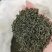 绿茶明前茶新茶，毛尖茶偏僻偏远山区农村茶叶春茶