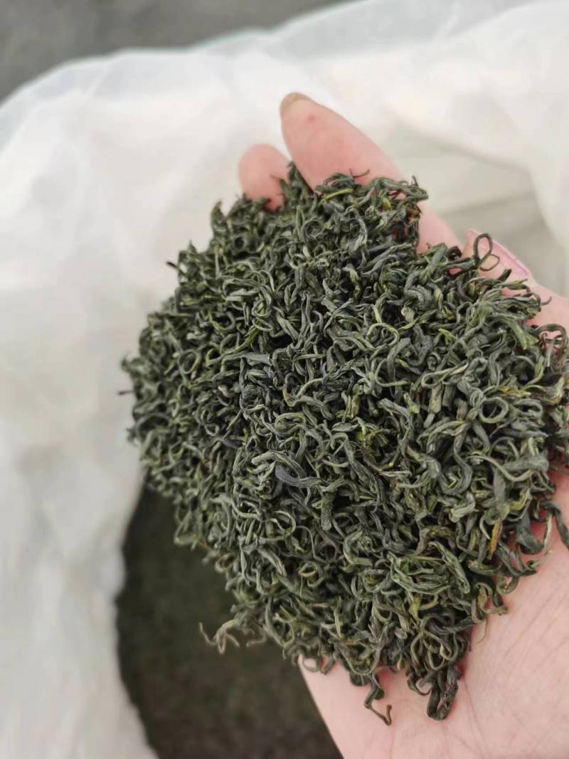 绿茶明前茶新茶，毛尖茶偏僻偏远山区农村茶叶春茶