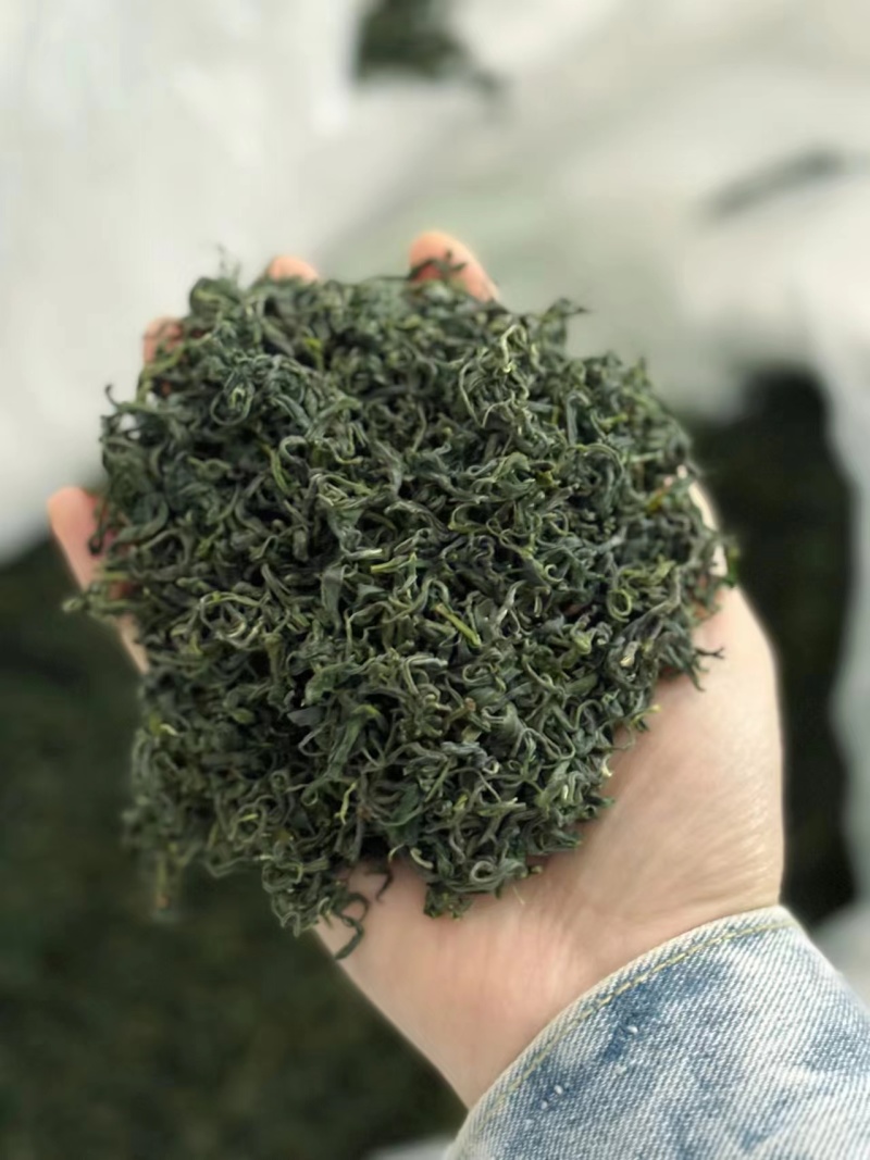 绿茶明前茶新茶，毛尖茶偏僻偏远山区农村茶叶春茶