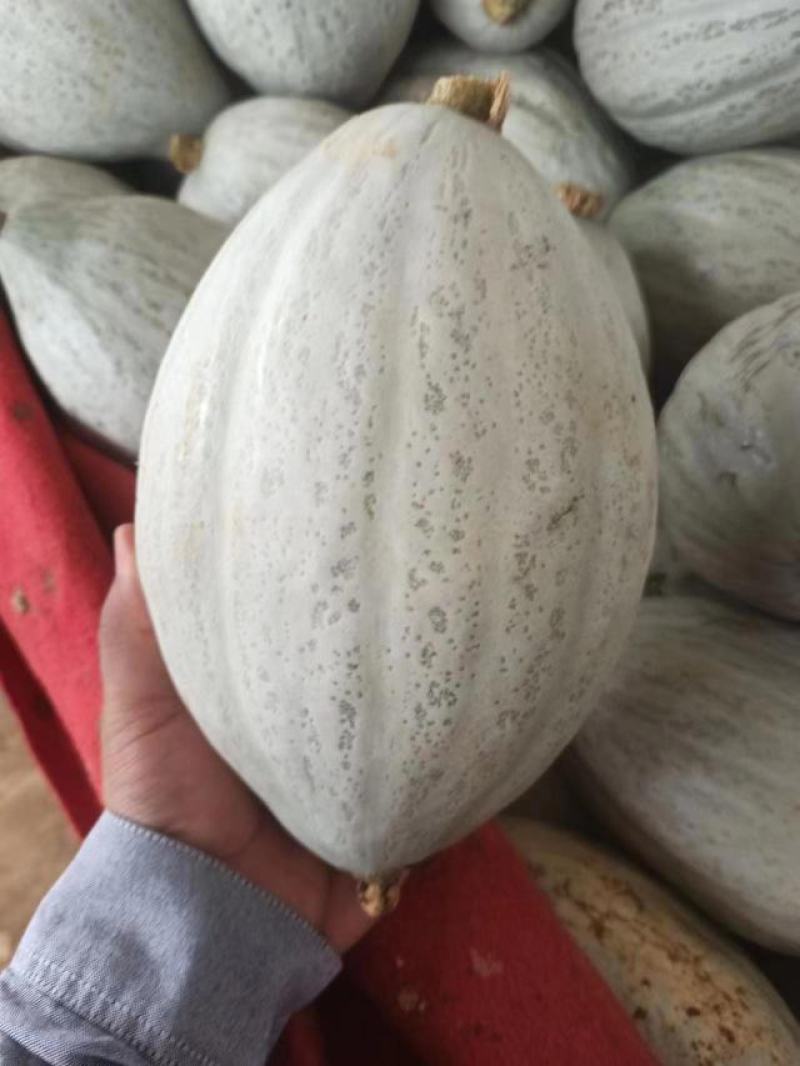 丑南瓜