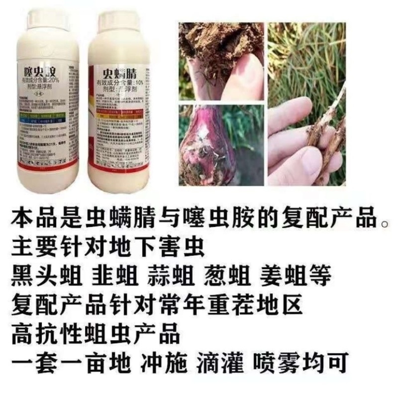 噻虫胺虫螨腈大葱大蒜韭菜地蛆黑头蛆专用韭蛆葱蛆姜蛆