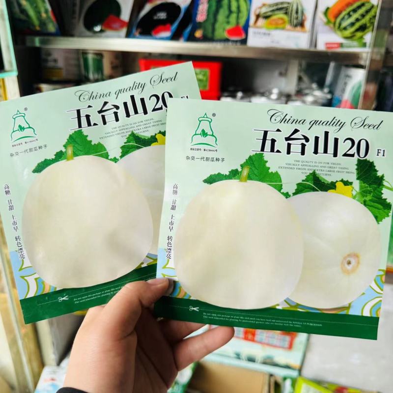 薄皮甜瓜种子五台山20白皮带黄肉白甜瓜品种种子