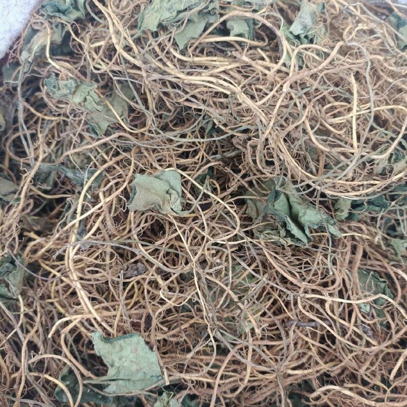 马蹄香大山里采挖的野生新货无硫熏干货