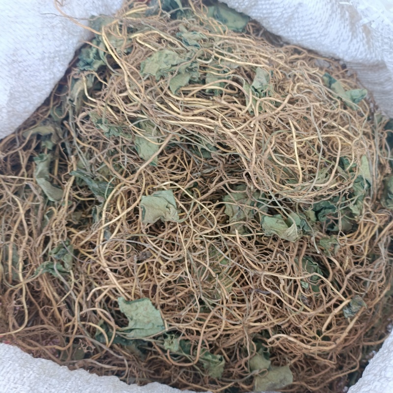 马蹄香大山里采挖的野生新货无硫熏干货