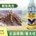5%阿维·噻唑膦根结线虫颗粒剂