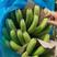 精品香蕉不受寒货源稳定，可定制箱板