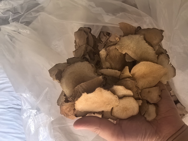 全网低价土茯苓货源充足欢迎电话咨询