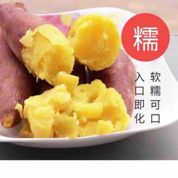 济薯26