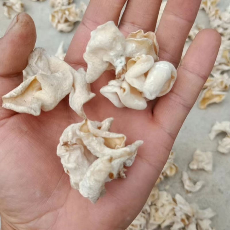 白玉木耳，精品选货，摆地摊，电商专用，大量有货