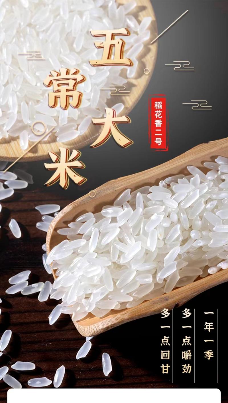 【实力优选】月光白玉香米品质保证货发全国欢迎联系