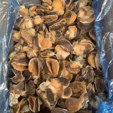 新鲜冷冻玉螺肉去内脏深海水产贝类海螺肉海螺肉商用批发