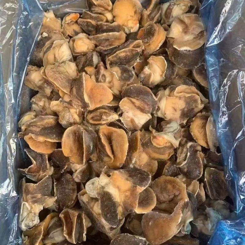 新鲜冷冻玉螺肉去内脏深海水产贝类海螺肉海螺肉商用批发