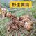 姜型野生黄精常年可供应量大从优质量保证欢迎咨询选购