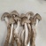 高山野生鸡枞菌