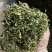 洋槐花干槐花新鲜2025野生槐花干菜食用干杨槐花蒸菜干货