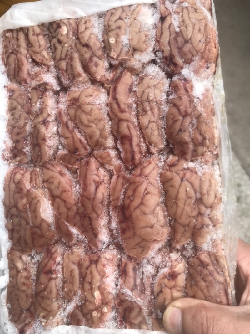 猪脑低价处理货、质量一般