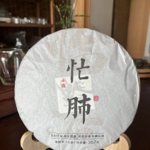 忙肺古树春茶