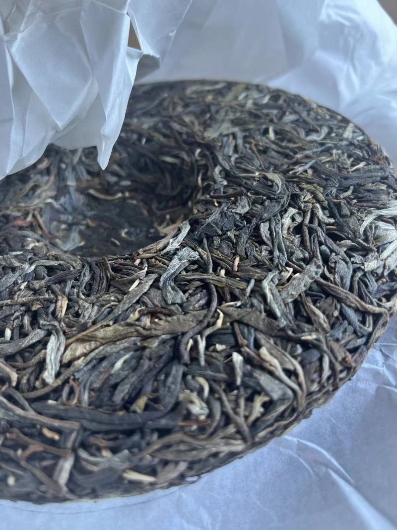 忙肺古树春茶