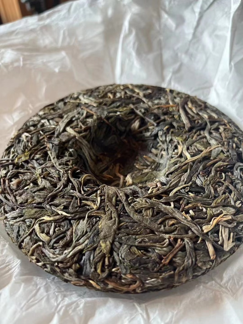 忙肺古树春茶