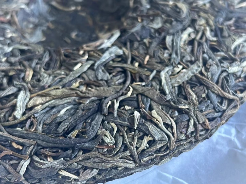 忙肺古树春茶