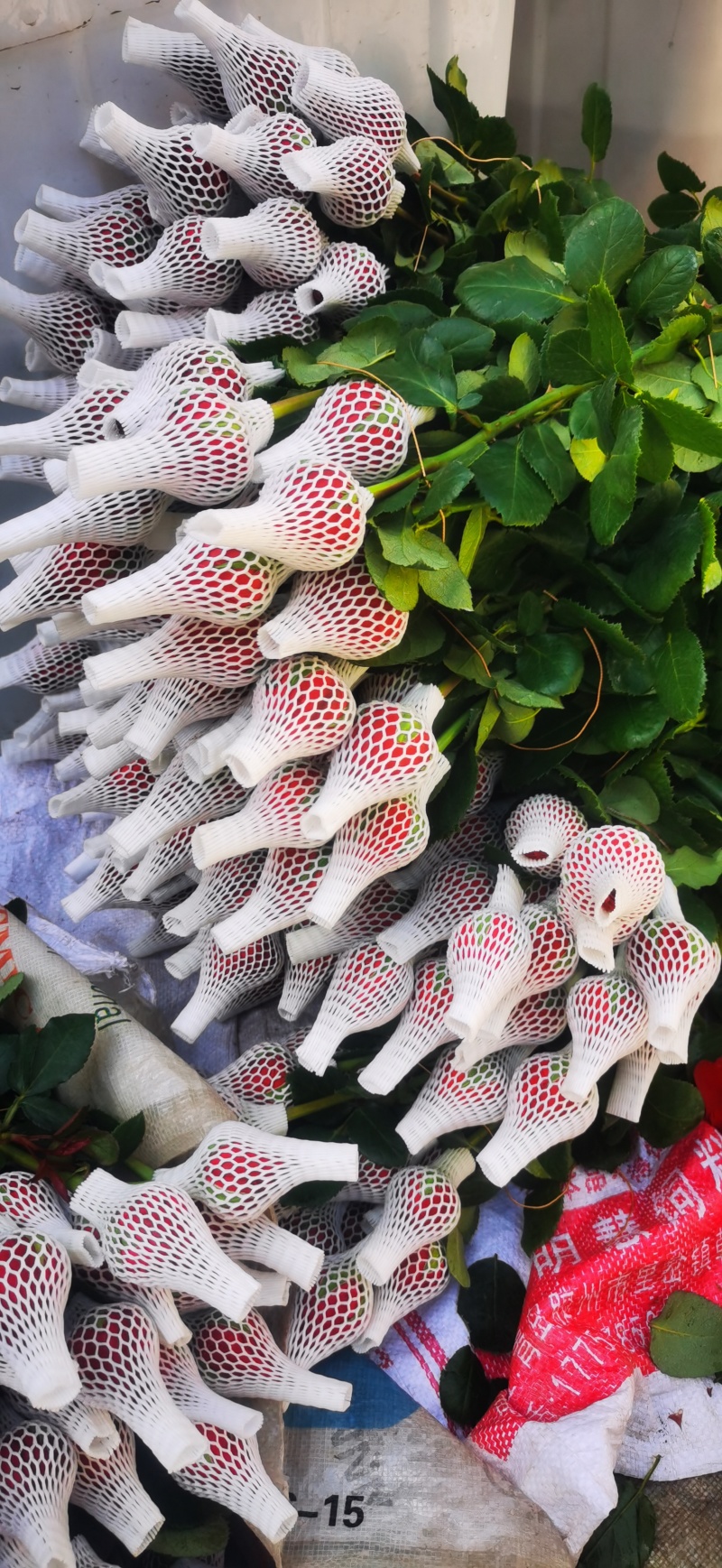 红玫瑰鲜花鲜切花