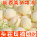 陕西阎良甜瓜白莎蜜甜瓜质量保证，量大价优，支持视频看货