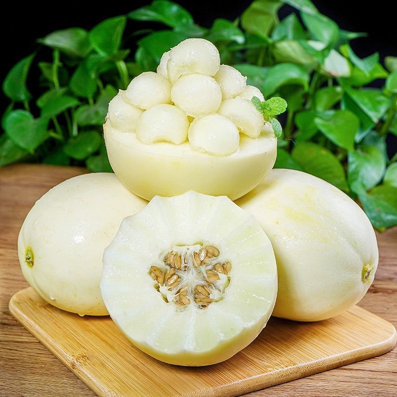 陕西阎良甜瓜白莎蜜甜瓜质量保证，量大价优，支持视频看货