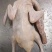 70天花边麻鸭，全净膛带舌，净重20kg12-17只