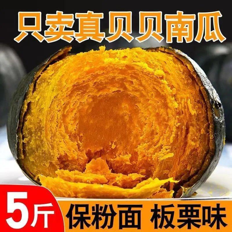 正宗贝贝南瓜一件代发老瓜麻仔惠和一号包邮对接电商平台社团